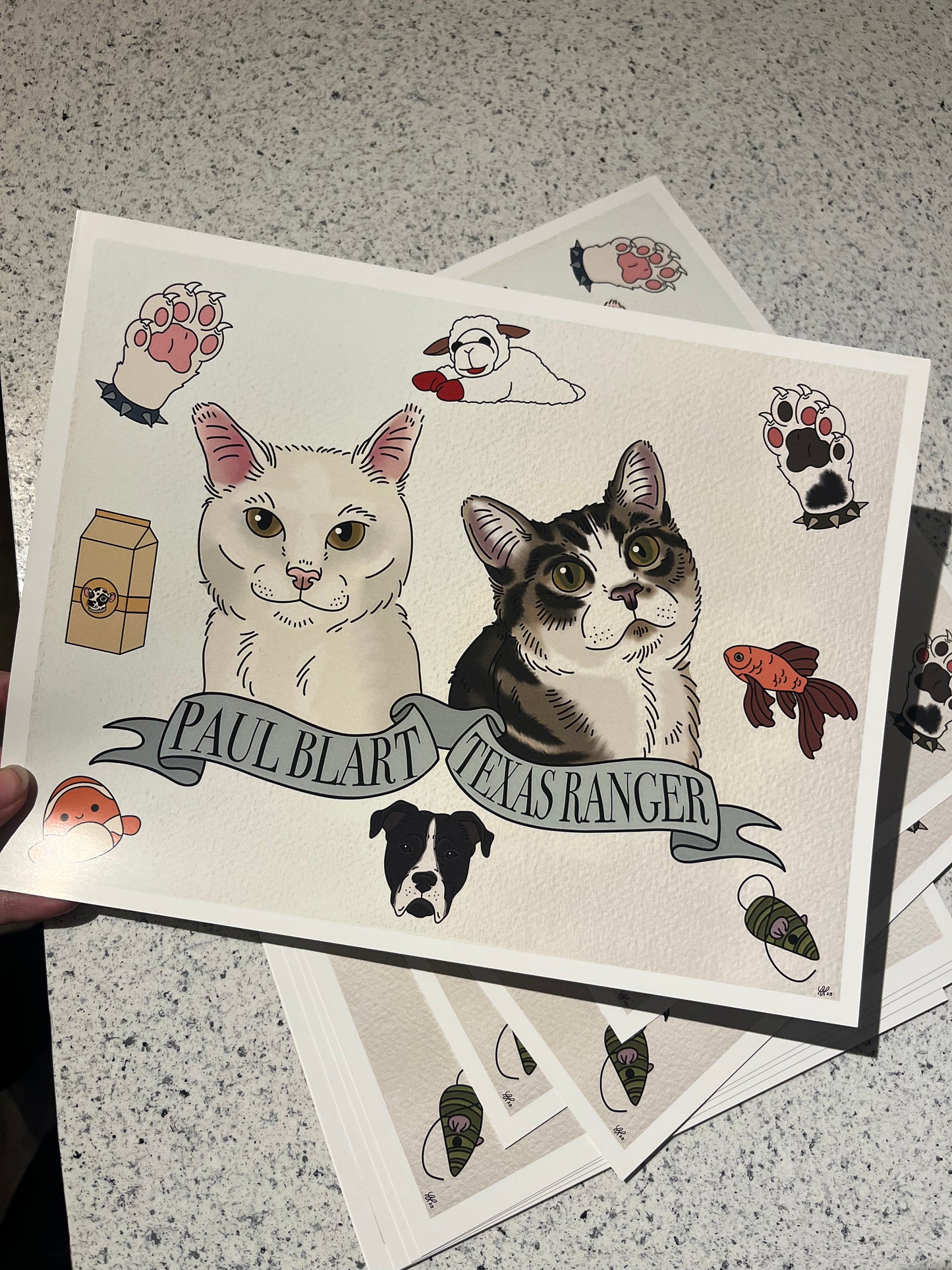 Cat Flash Sheet