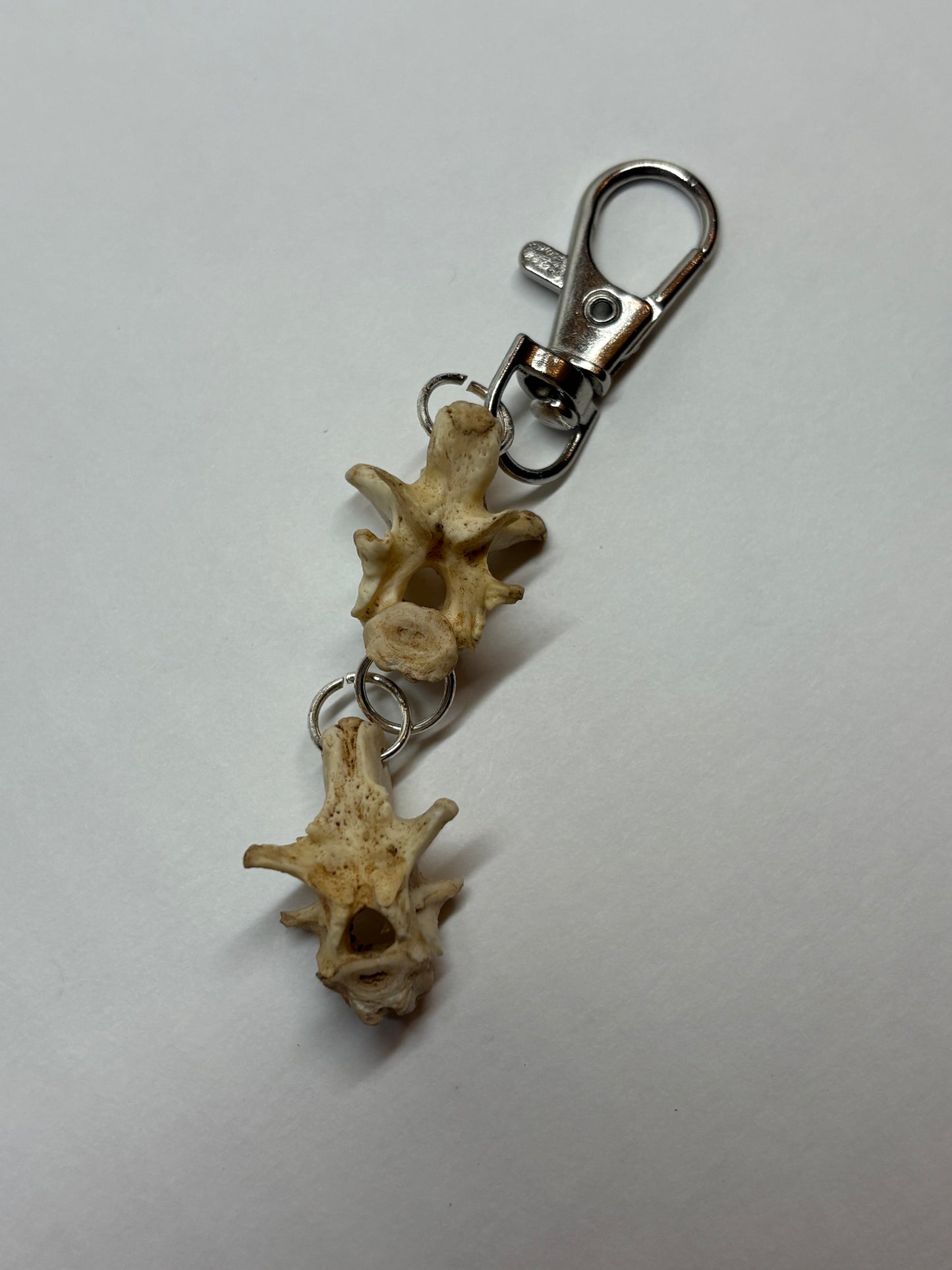 Cat Skeleton Keychain