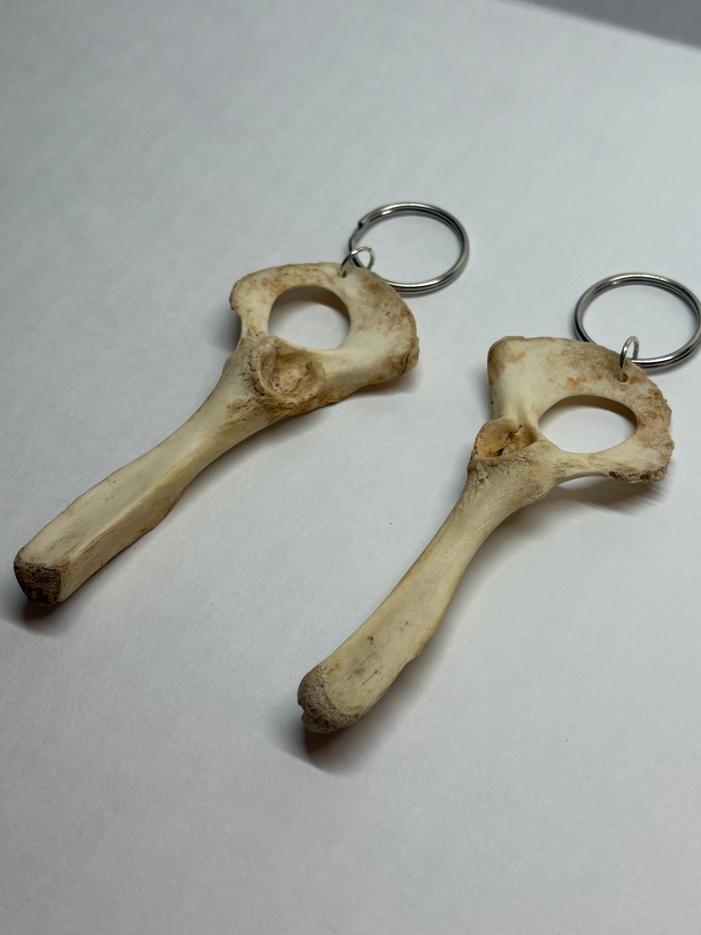 Cat Skeleton Keychain