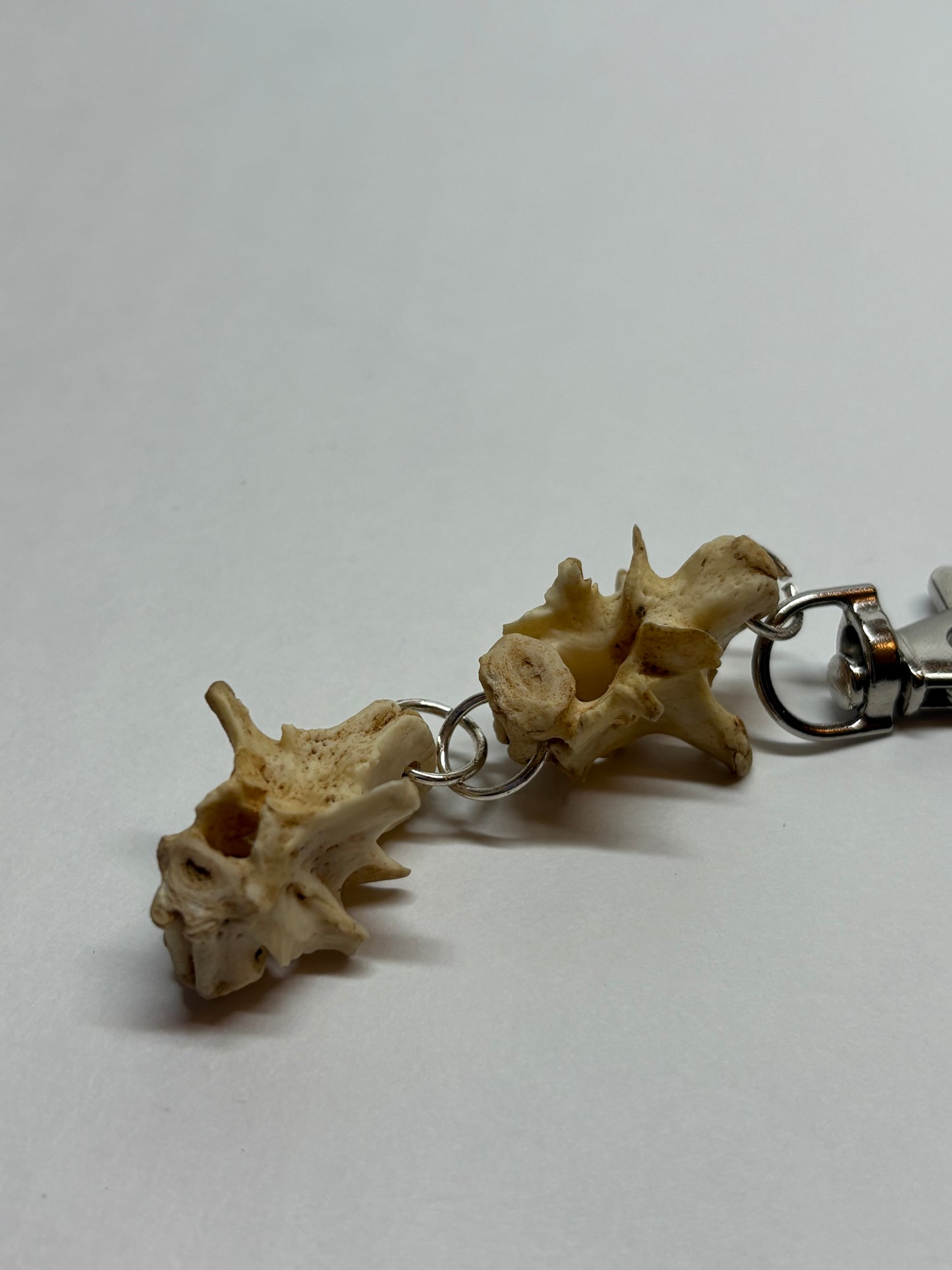 Cat Skeleton Keychain