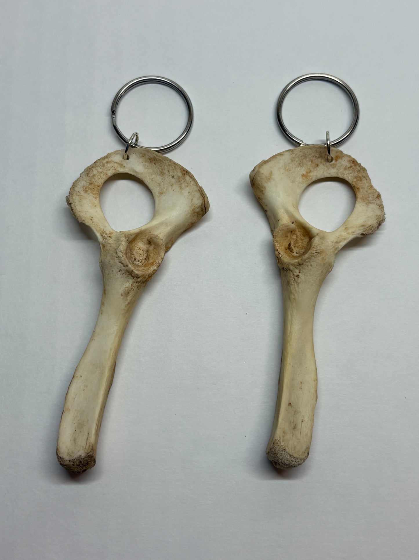 Cat Skeleton Keychain