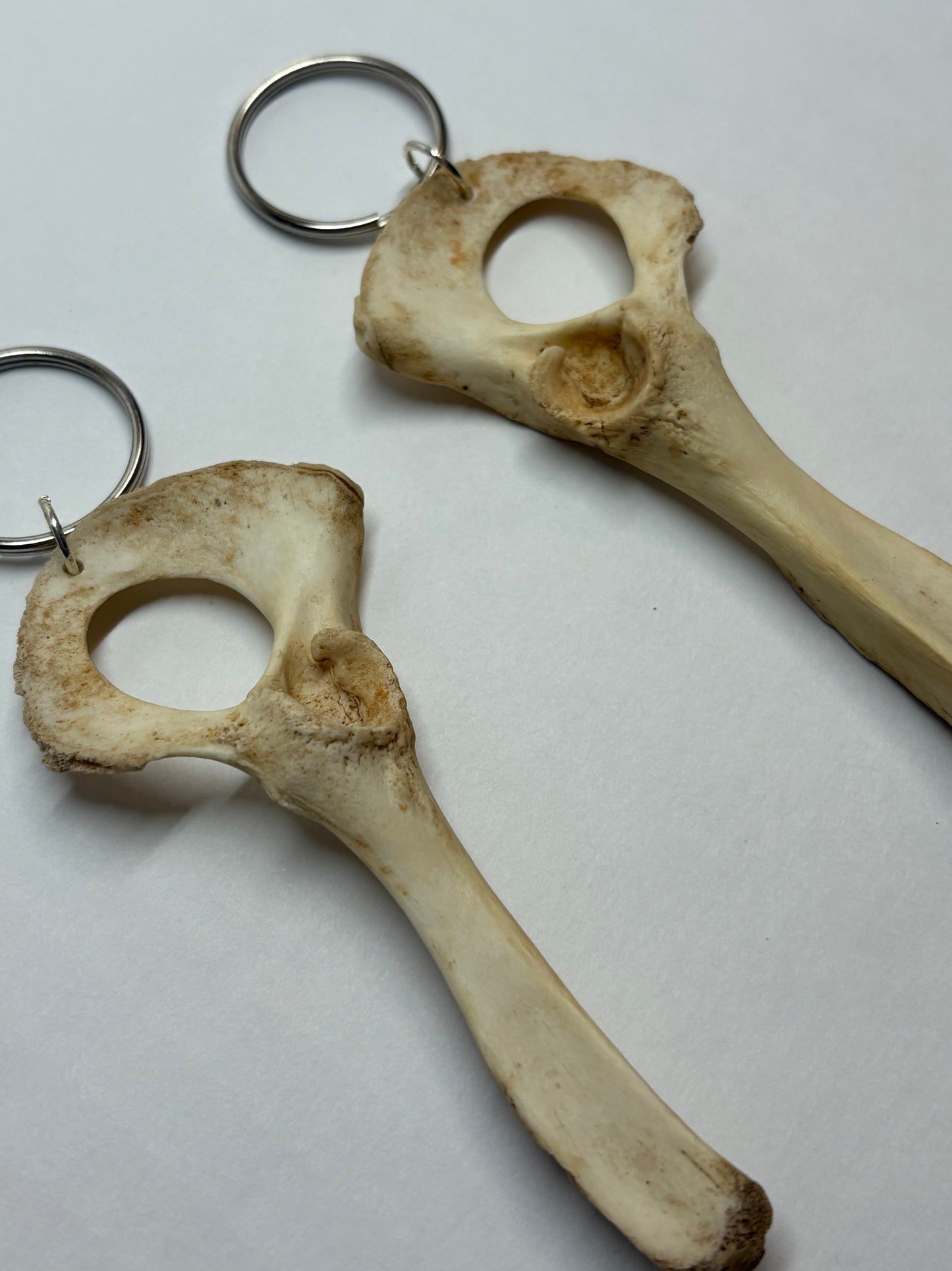 Cat Skeleton Keychain