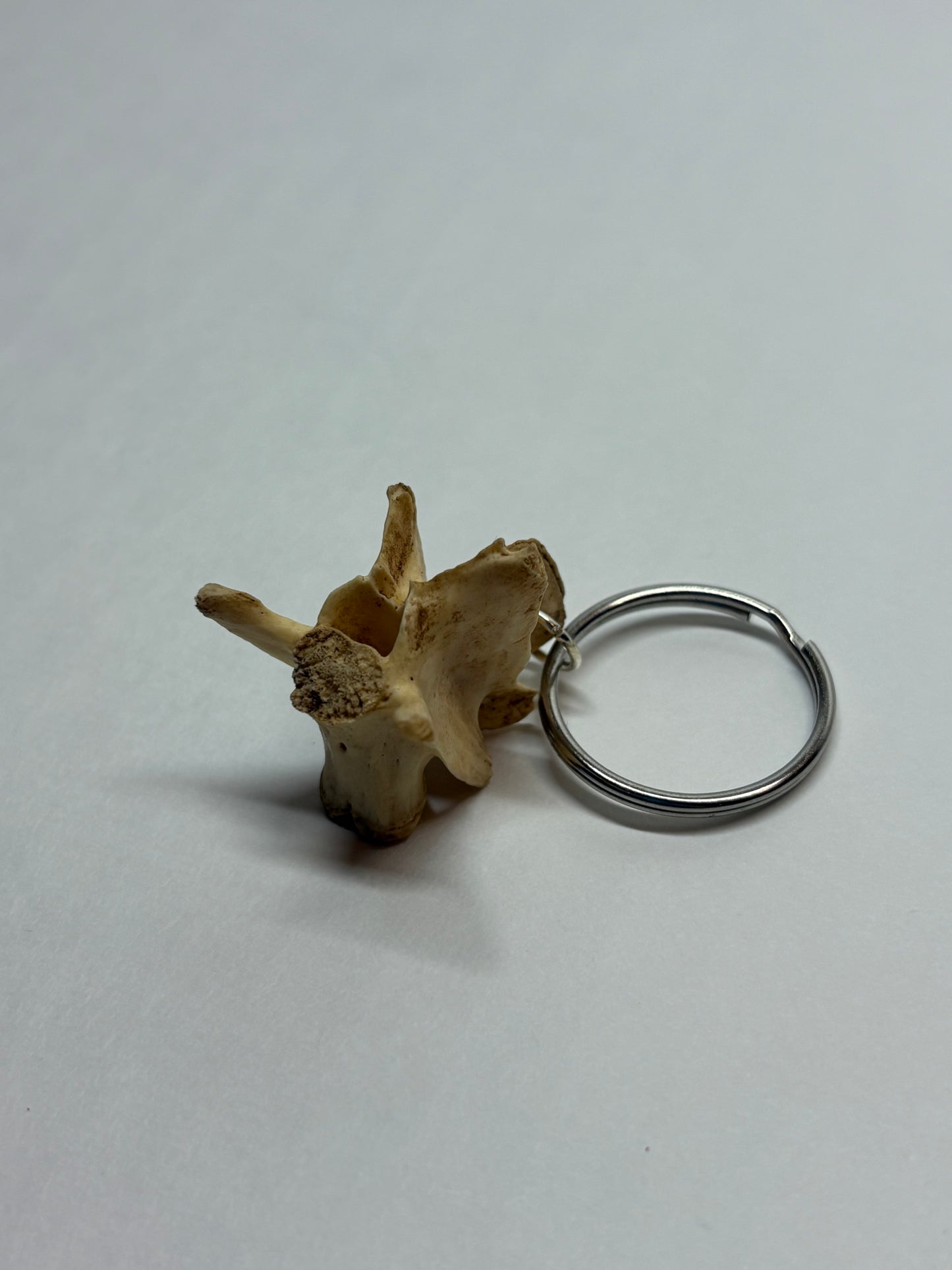 Cat Skeleton Keychain