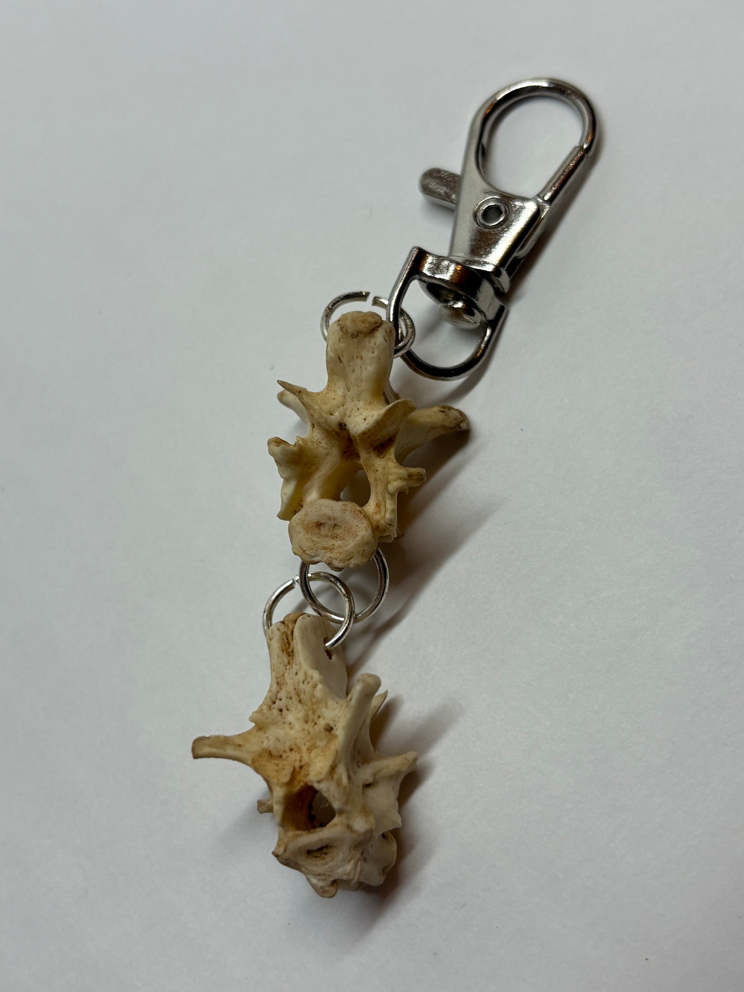 Cat Skeleton Keychain